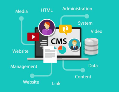 Professional CMS Website Development In Ottawa