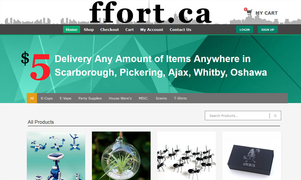 E-Commerce Website Design Ottawa
